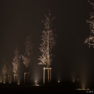 33/365